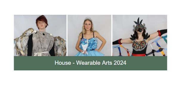 House - Wearable Arts 2024