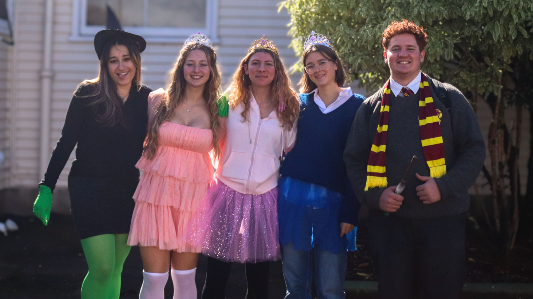 Dress Up Day (2)